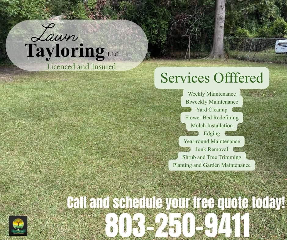 Freshly mowed and edged backyard