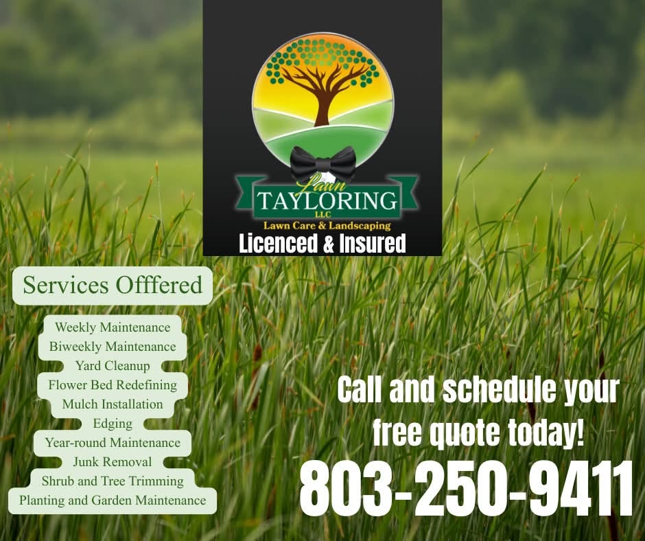 Clean cut lawn — Lawn Tayloring LLC