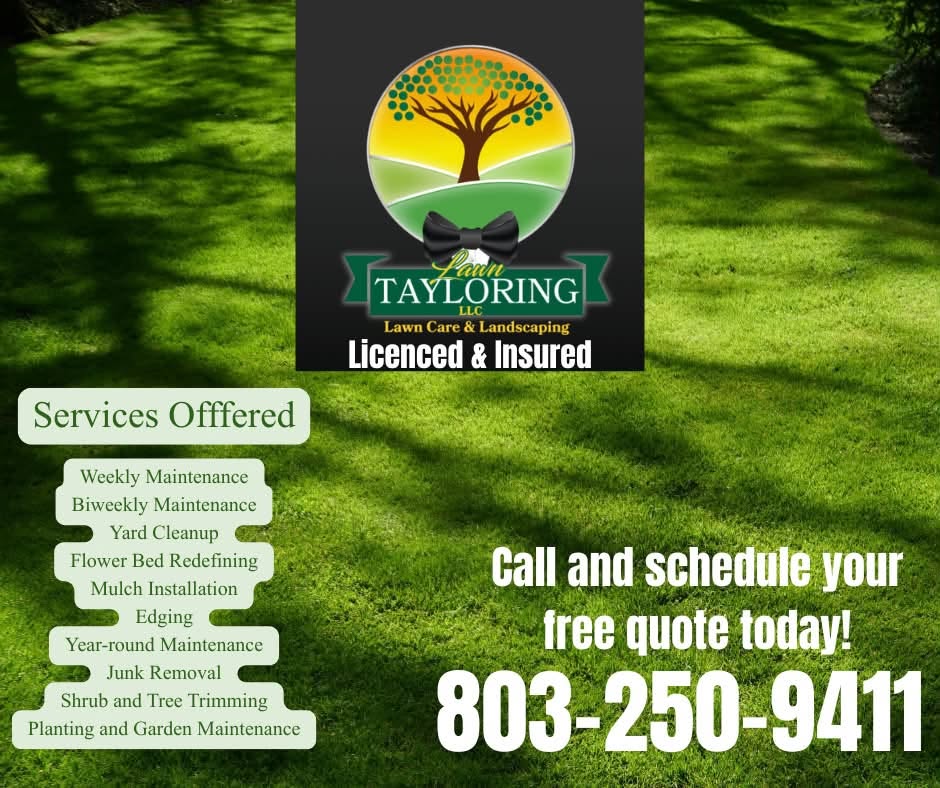 Lush green lawn maintained by Lawn Tayloring